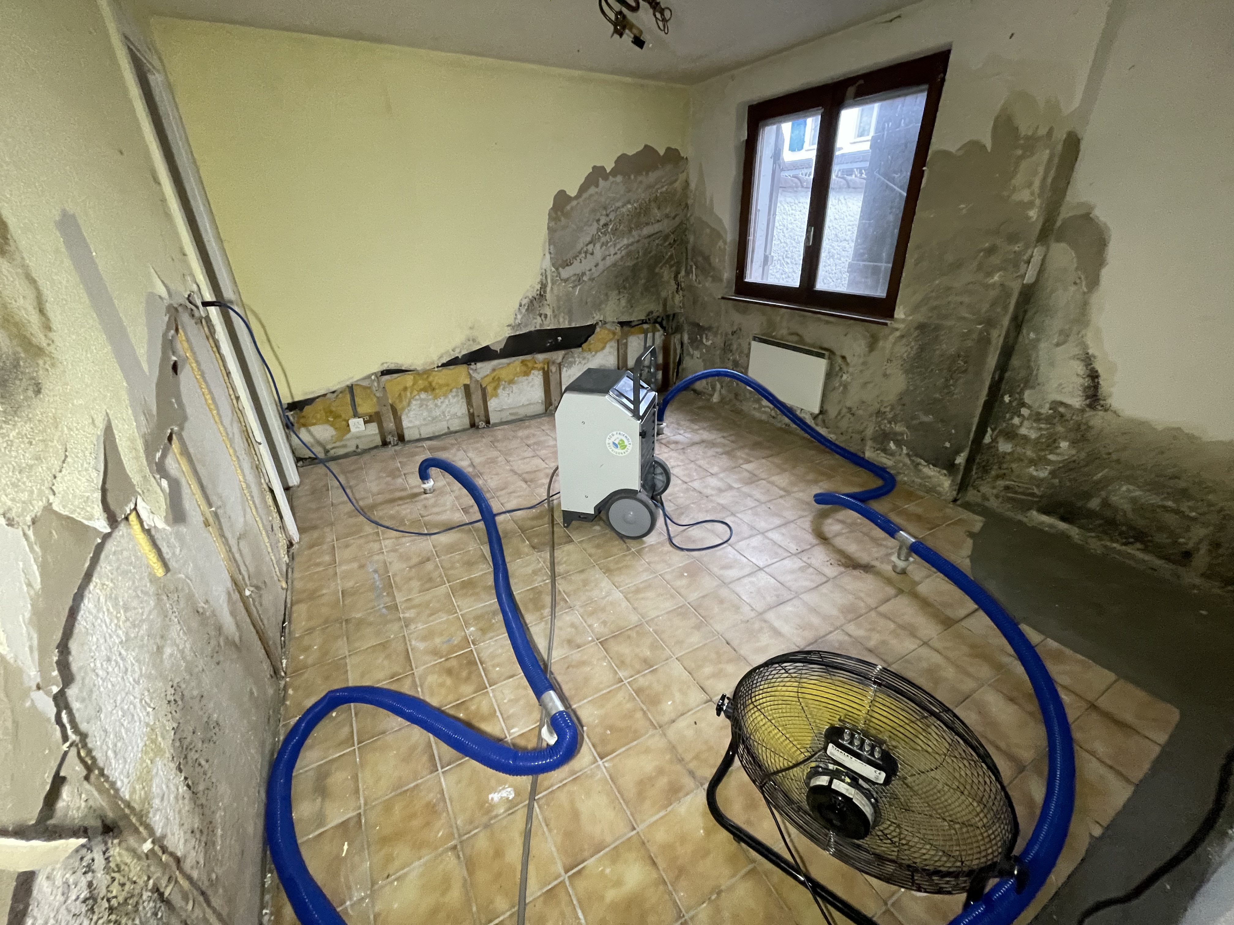 Pièce ravagé par l'infiltration d'eau