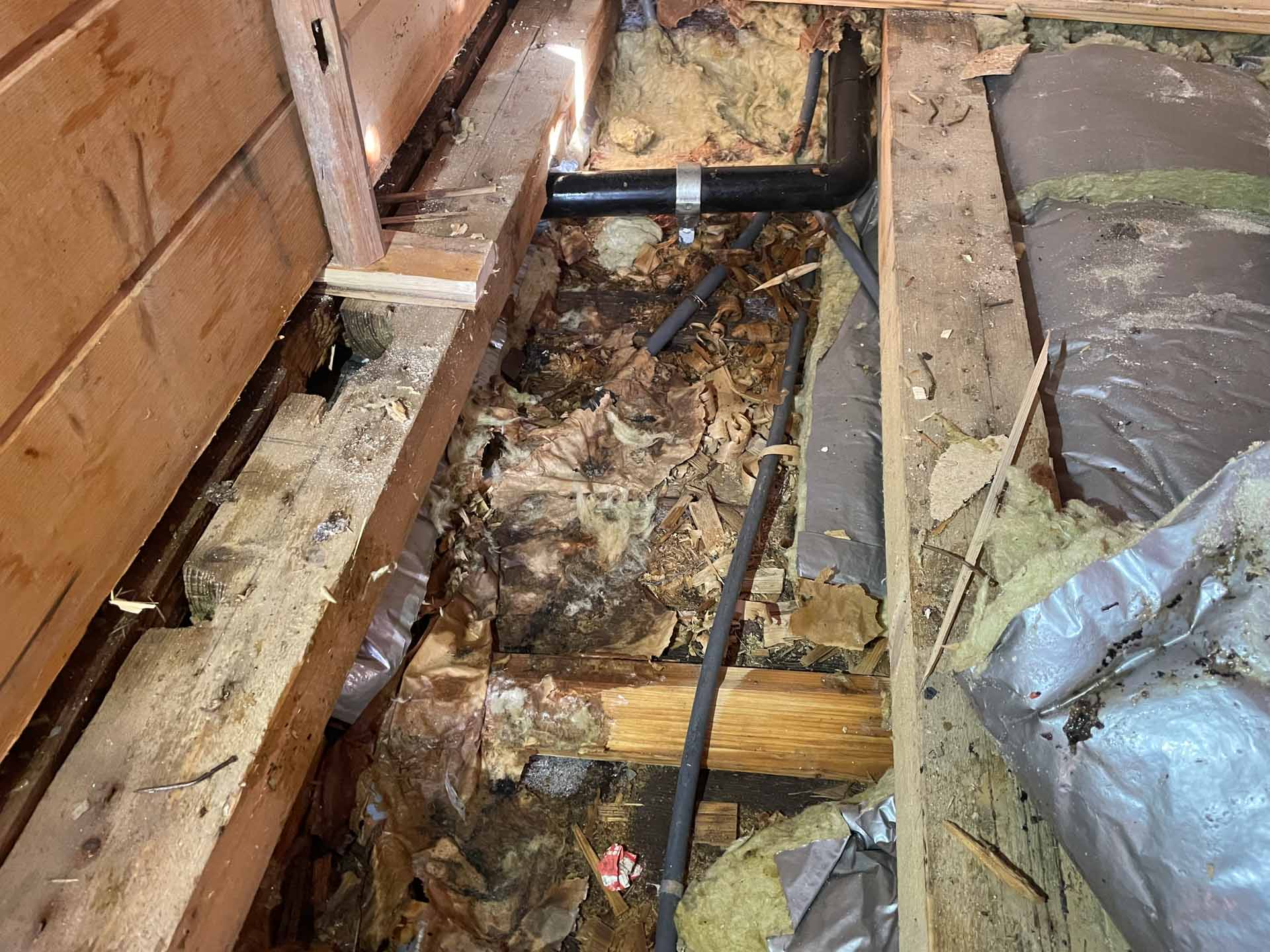 Démontage d'un plancher humide